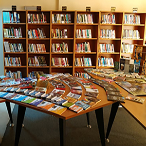 اتحاد مكتبات جامعات مصر