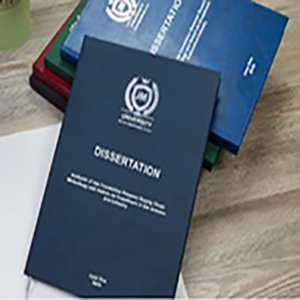 فحص النزاهة